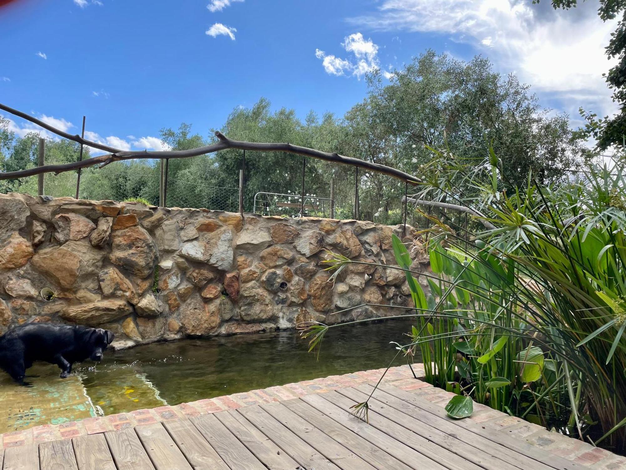 Вилла Underhill Farm Klipkraal Экстерьер фото